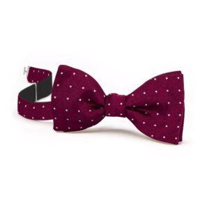 aus Seide mit Krawatte XUITS reiner | weißen Polkadots bordeaux